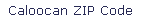 zip code of caloocan camarin
